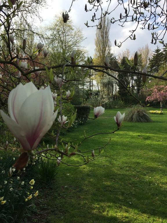 Le Domaine Des Loups Hotel Souchez ภายนอก รูปภาพ